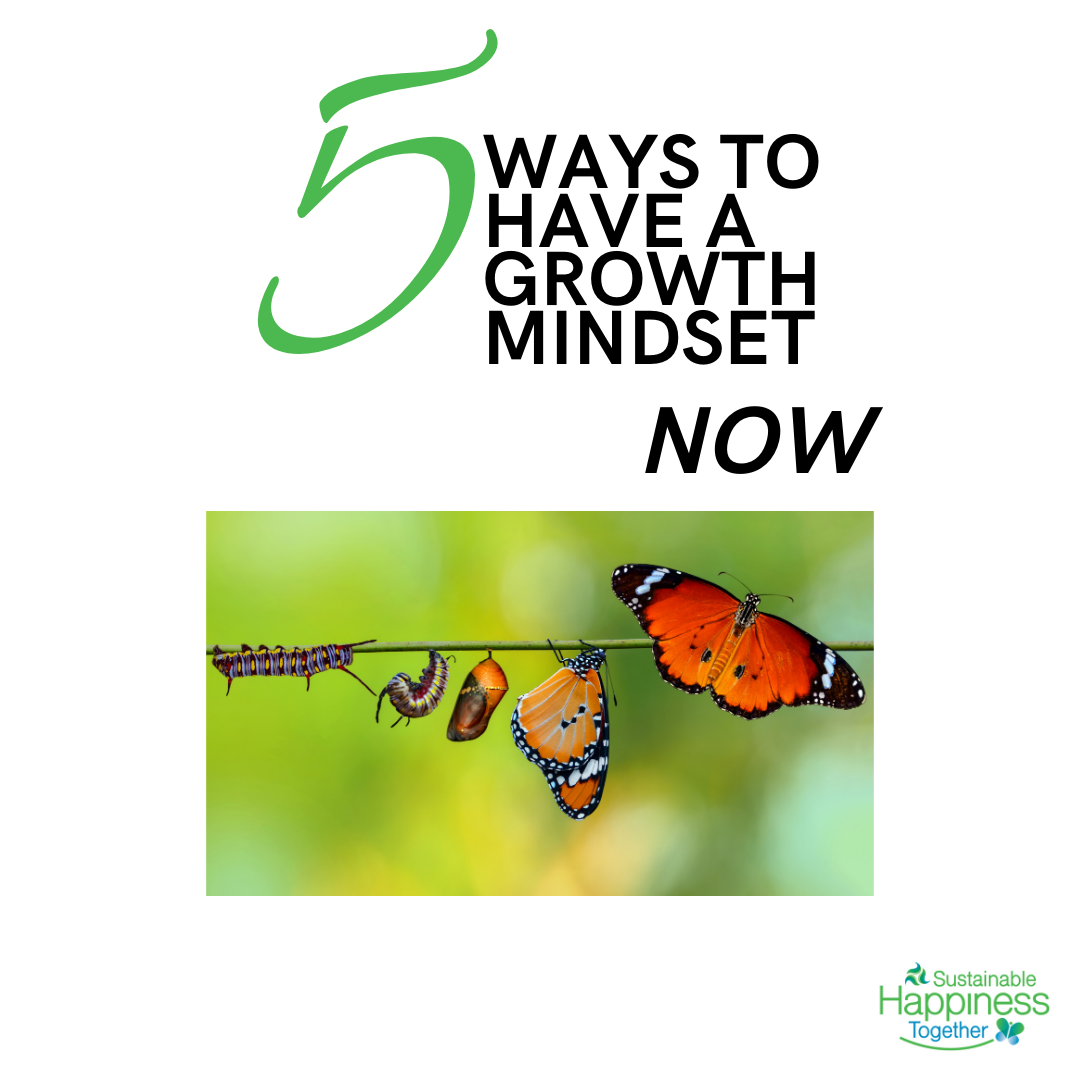 5 Ways to Have a Growth Mindset NOW - Sustainable Happiness Together